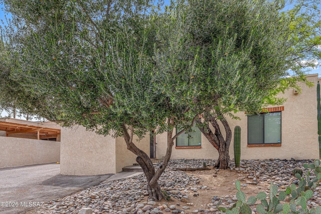 5755 N Camino Esplendora - Photo 3 of 28