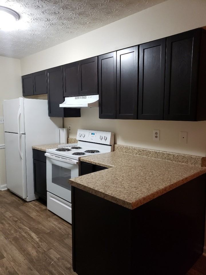 713 Still Lake Drive - Photo 5 of 15