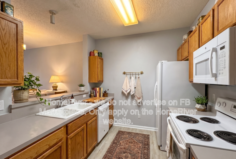 729 Middle Branch Way - Photo 2 of 18
