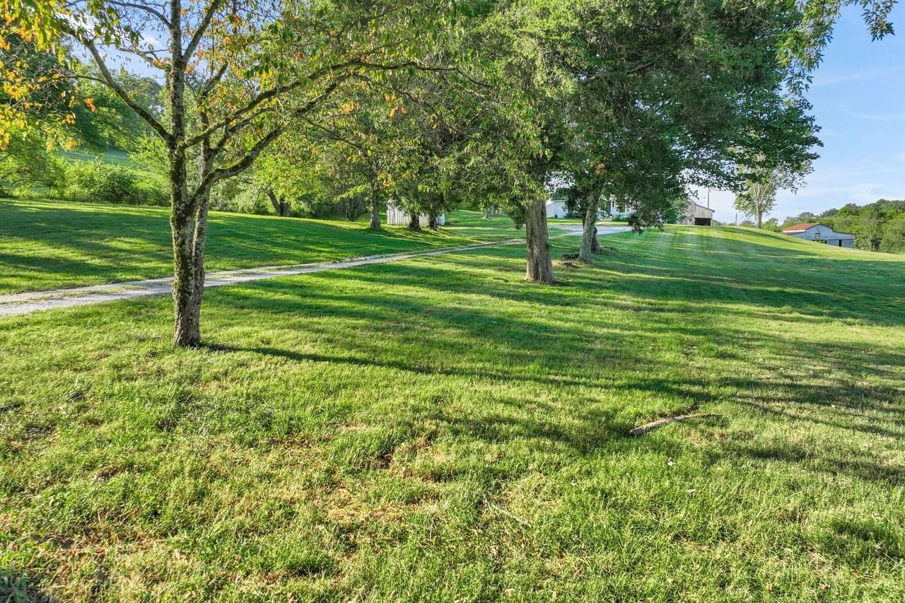 4861 Bethesda Rd - Photo 4 of 50