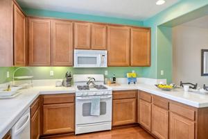 featured image of 16916 Hutchins Lndg ##68