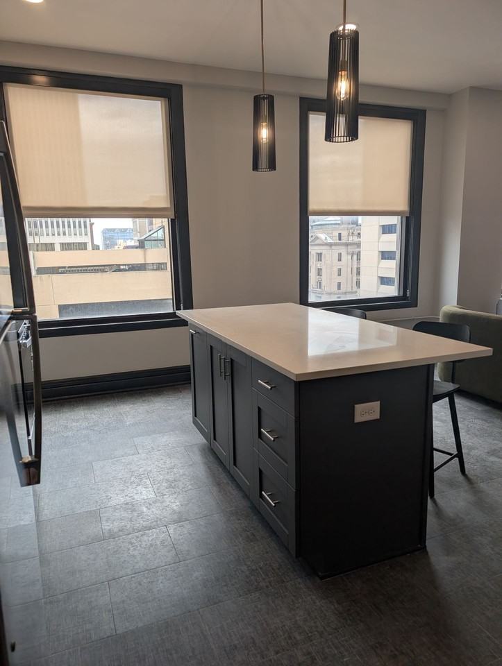 The Carrara on Farnam - Photo 4 of 15