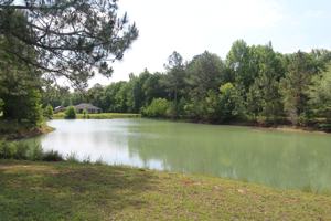 featured image of 1826 Porters Corner Rd #1