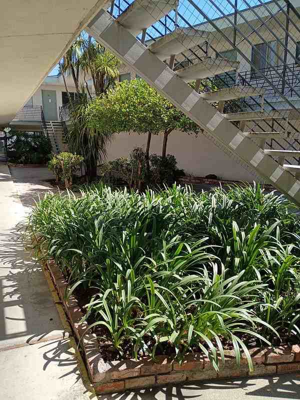 600 Alhambra WayUnit 15 #15 - Photo 7 of 10
