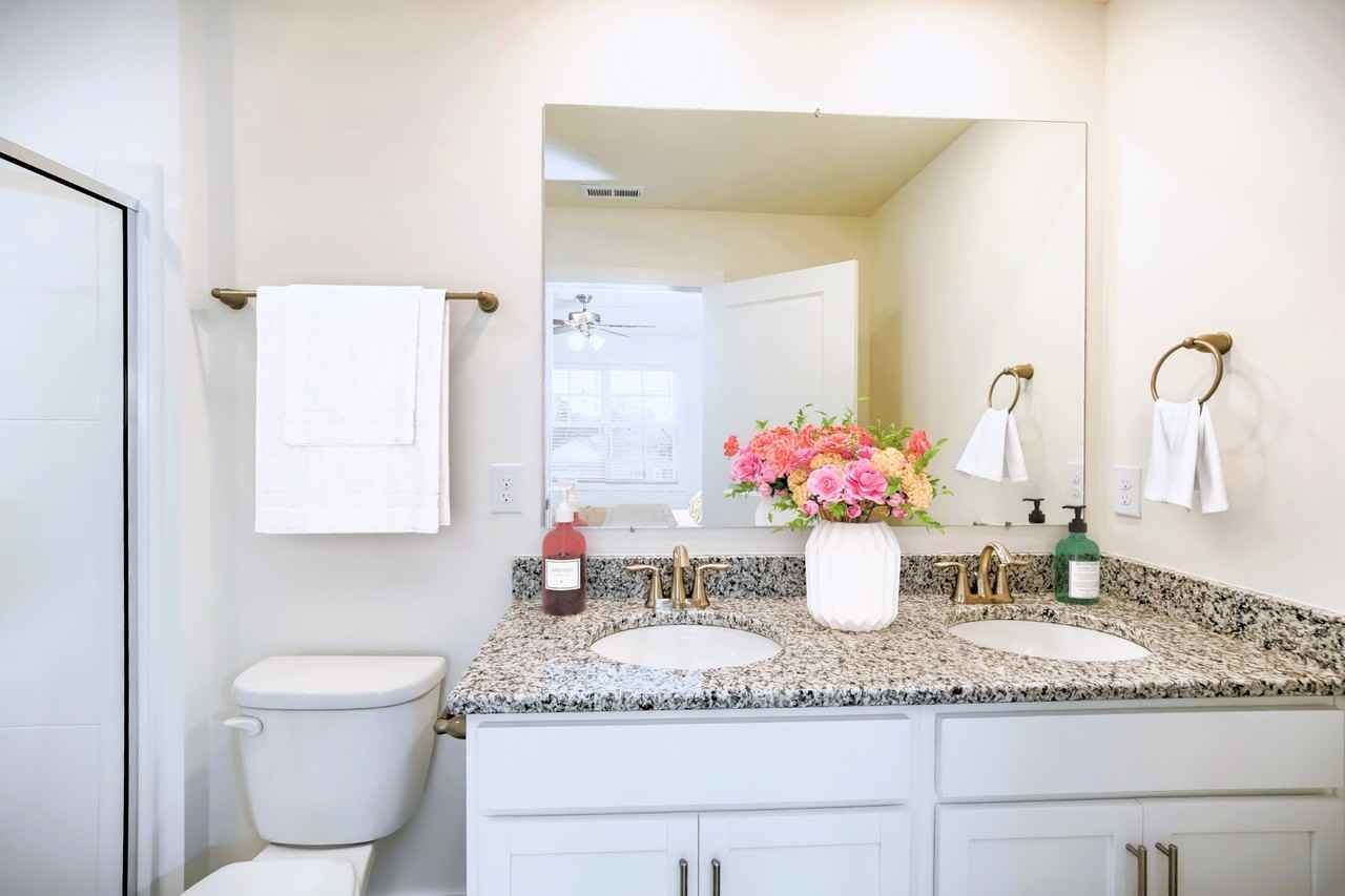 7316 Acorn Valley Lane - Photo 4 of 18