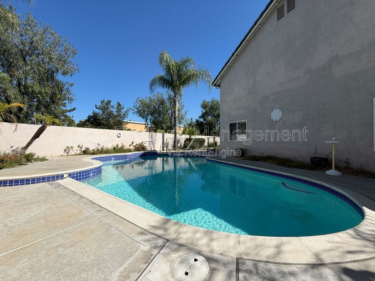 25052 Calle Viejo - Photo 4 of 19