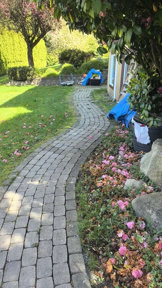 28 Ave & 169 St #bsmt - Photo 7 of 7