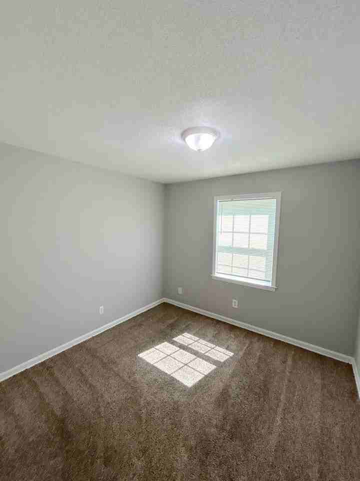 4811 Bradford Dr - Photo 4 of 12