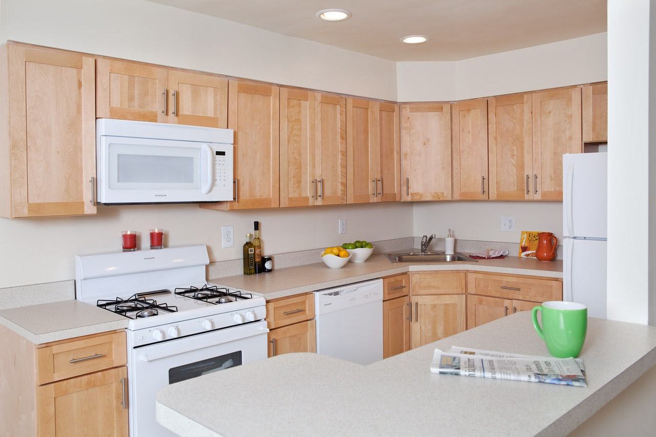 Stenton Plaza Apartments - Photo 3 of 11