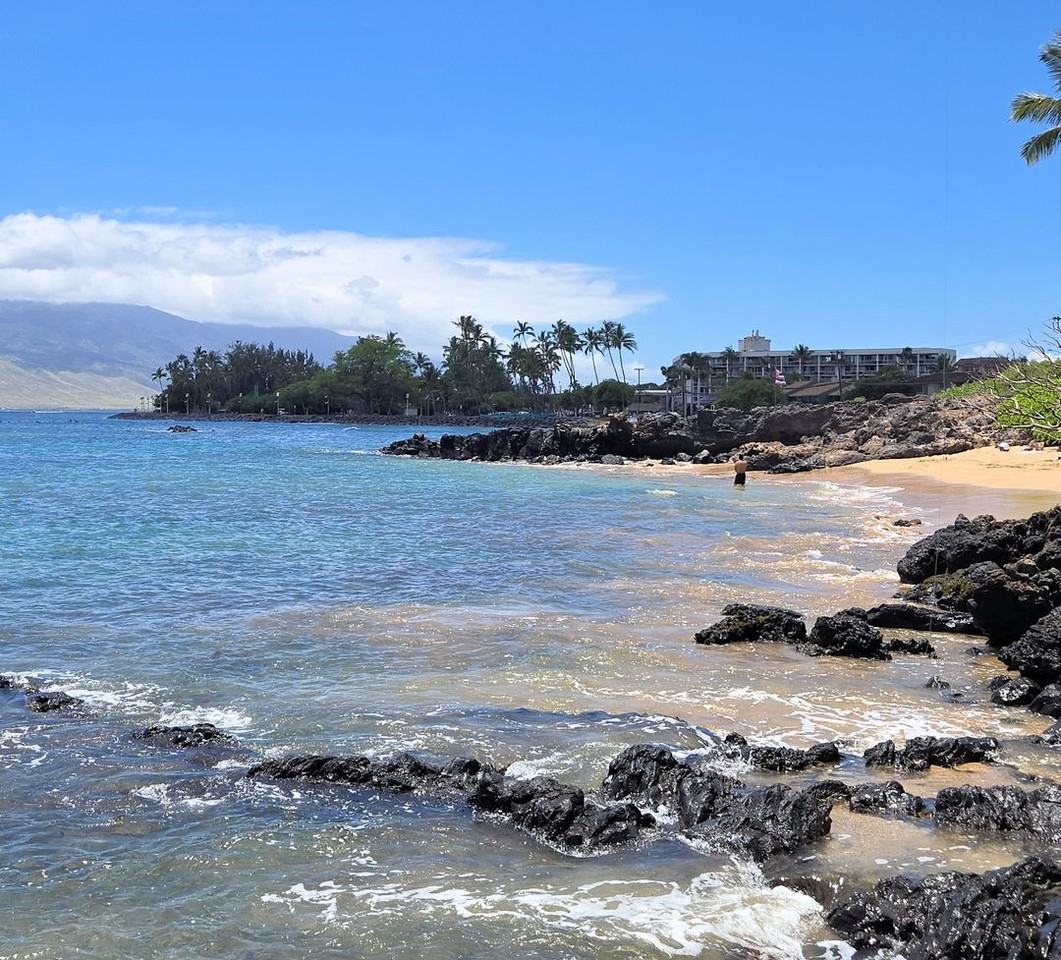 2135 S Kihei Rd - Photo 2 of 13