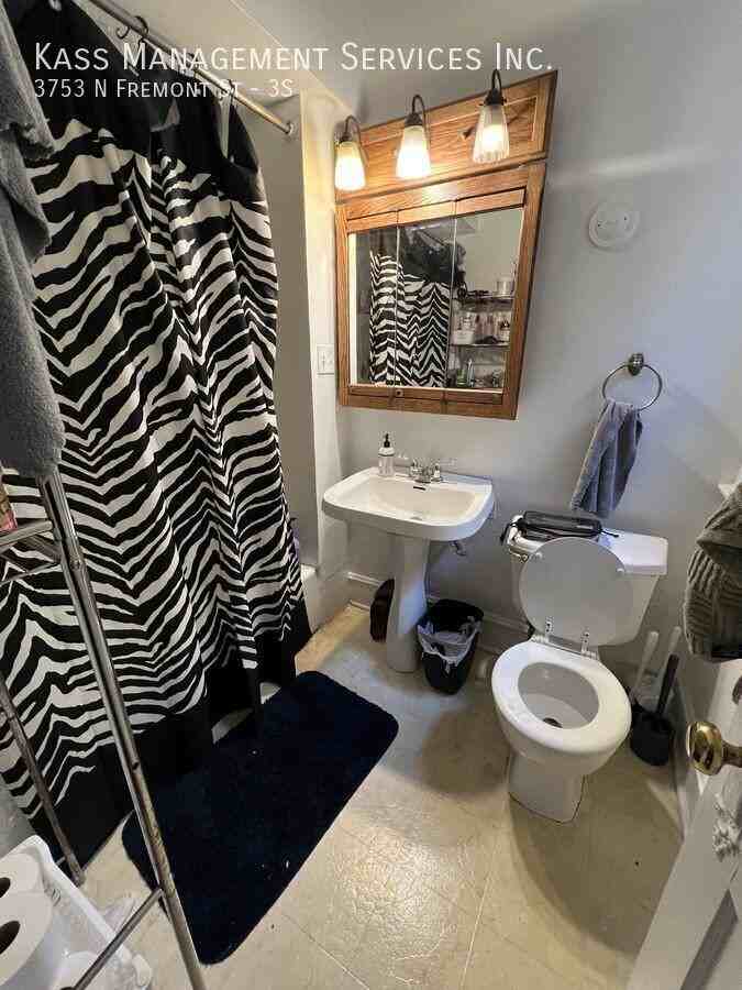 3753 N Fremont St #3S - Photo 6 of 10