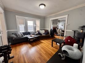 19 Burton St #2 - Photo 1 of 1