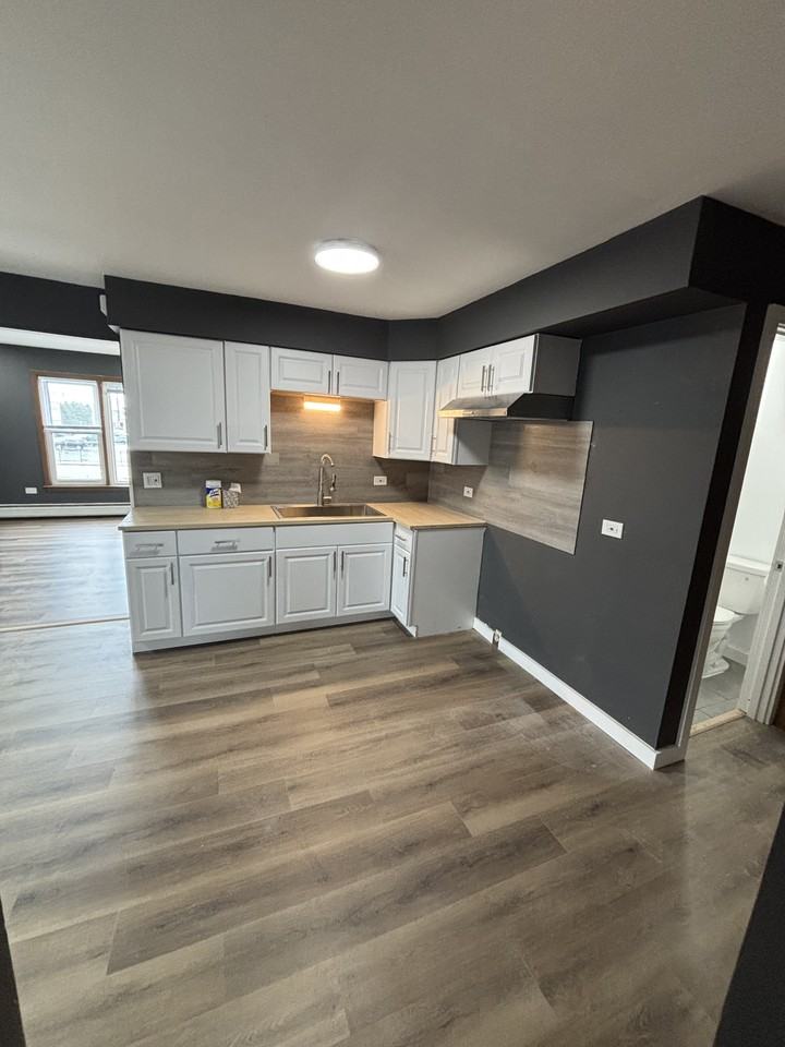 7305 S Kedzie Ave #3S - Photo 3 of 15
