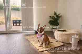 130 S 800 E #207 - Photo 1 of 1