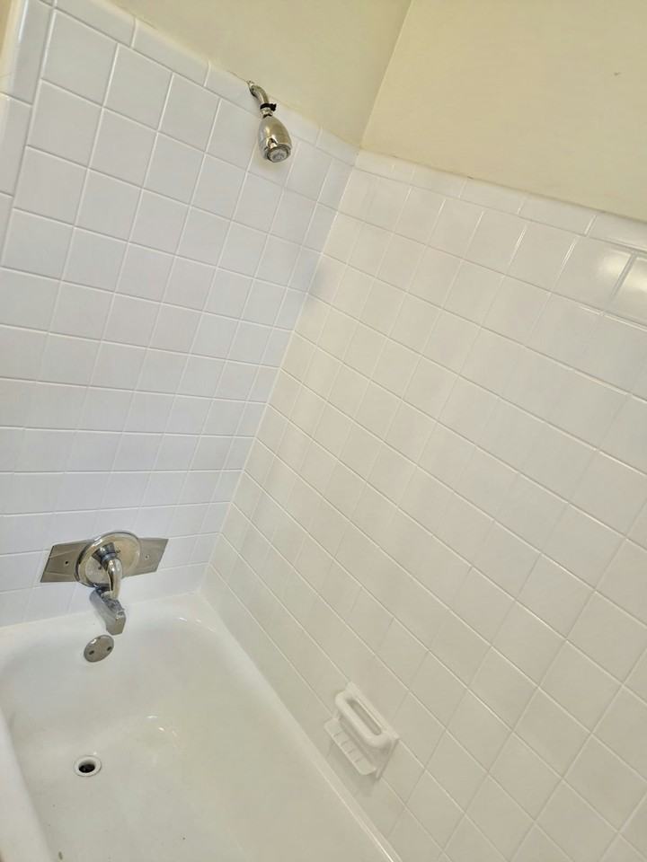 1123 South Lee Avenue, Unit rear - Photo 6 of 8