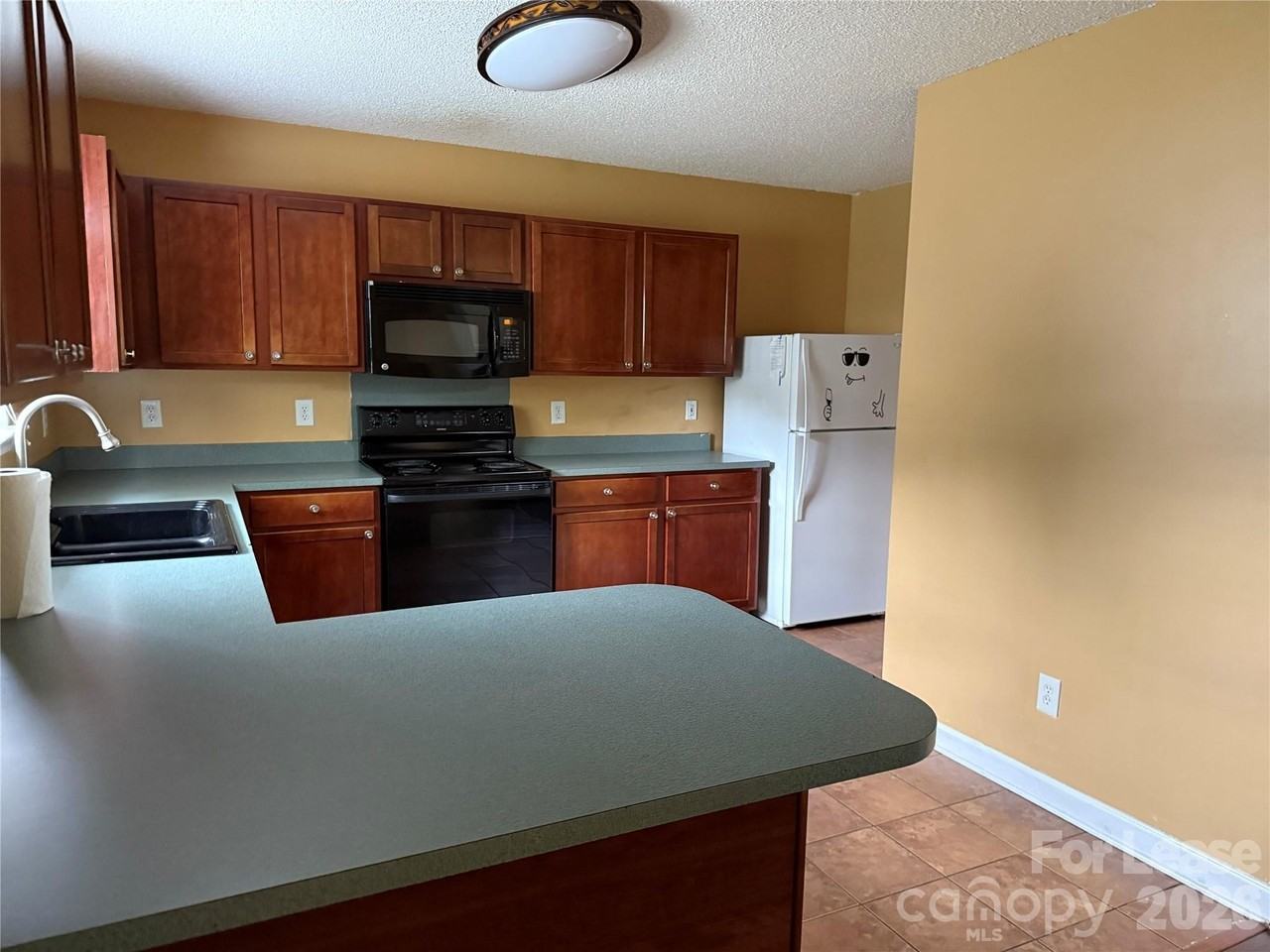 3327 Buckvalley Dr - Photo 6 of 17