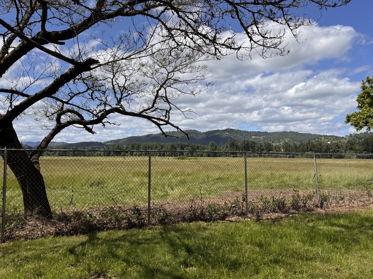 8741 Old Highway 99 S #1 - Photo 5 of 28