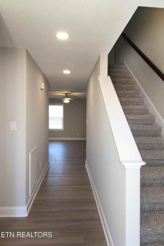 3543 Maggie Lynn Way #15 - Photo 4 of 29