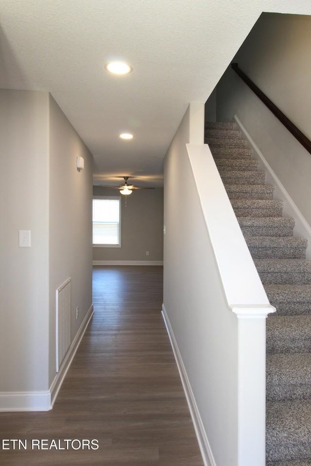 3541 Maggie Lynn Way #14 - Photo 4 of 27