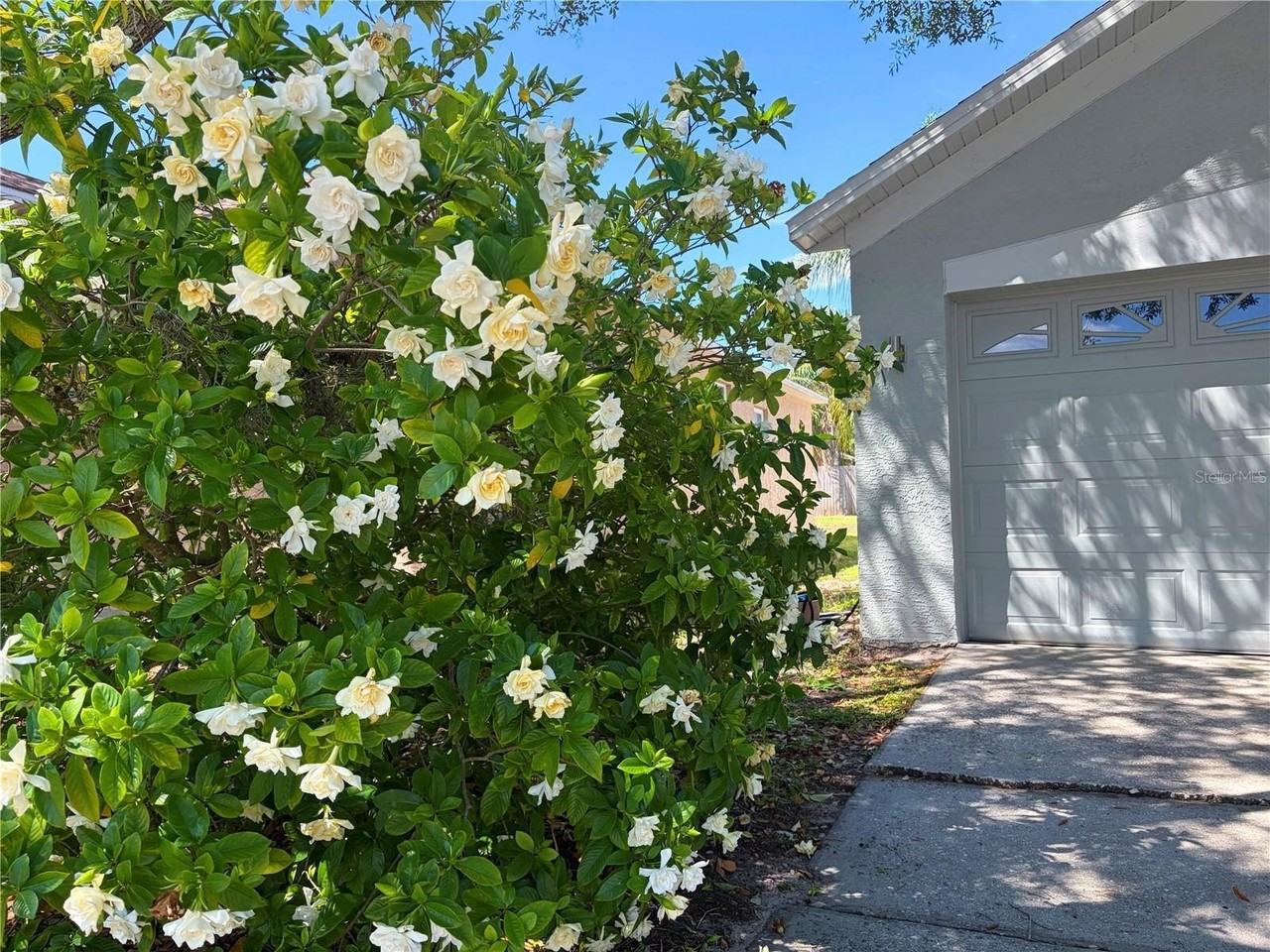 10327 Goldenbrook Way - Photo 3 of 29
