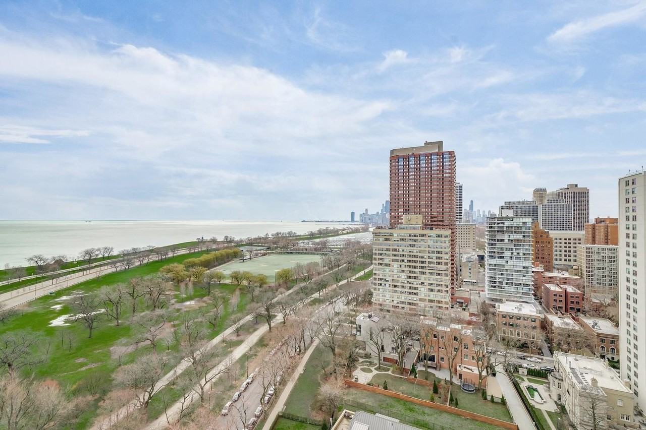3100 N Lake Shore Dr #1906 - Photo 3 of 21