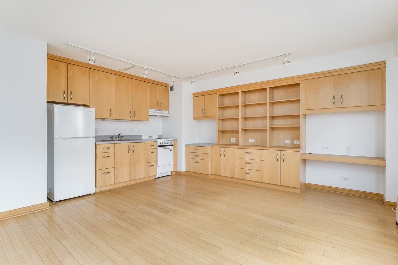3100 N Lake Shore Dr #1906 - Photo 7 of 21