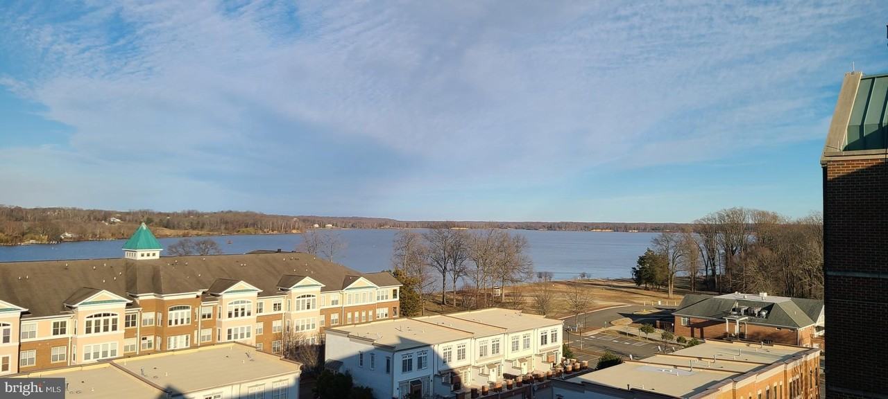 485 Harbor Side St #904 - Photo 6 of 50