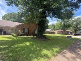 3907 Bowmar Cv - Photo 1 of 1