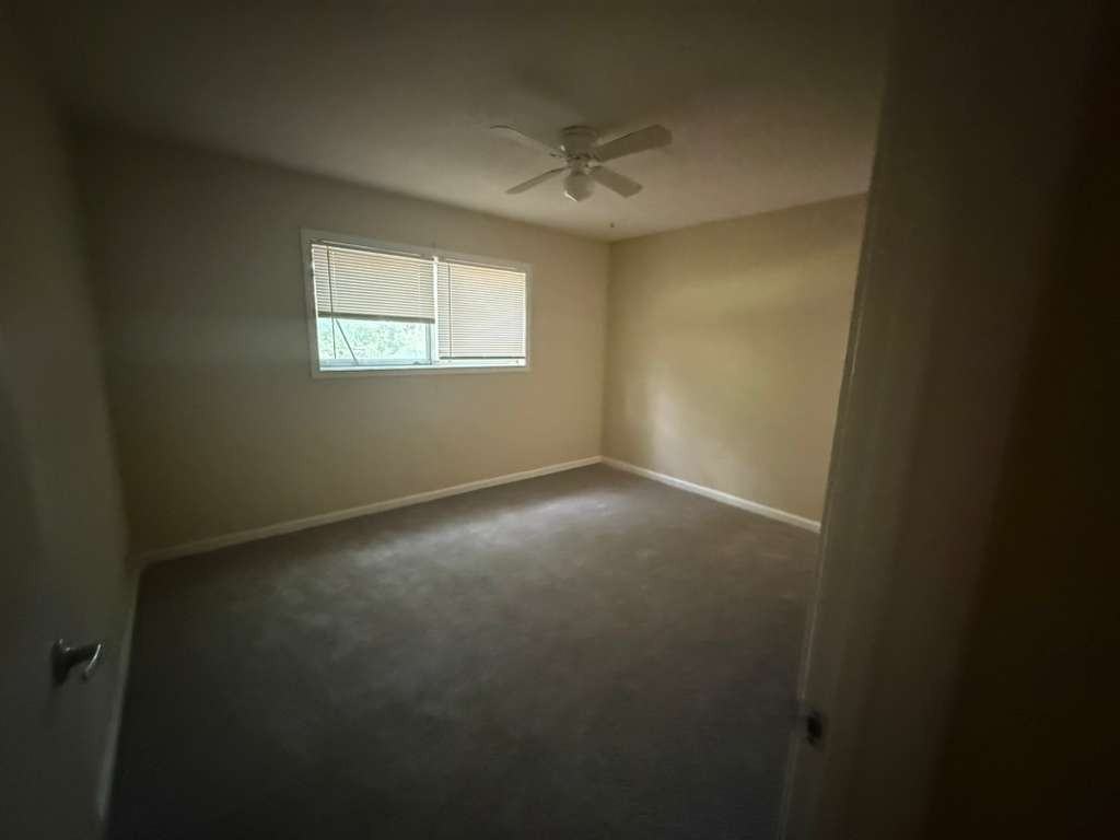 3907 Bowmar Cv - Photo 6 of 10