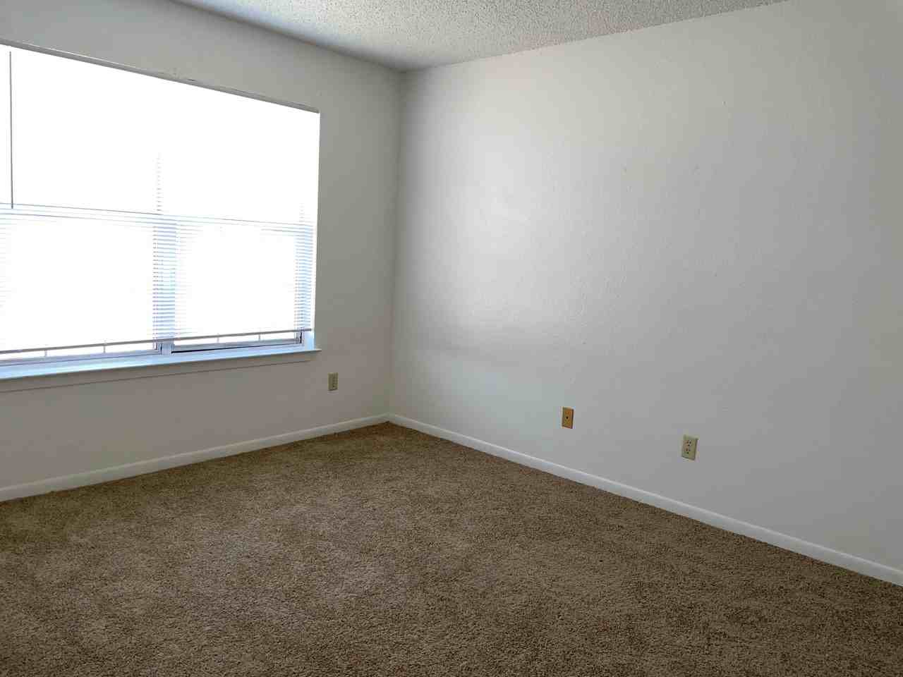 1611 S 3rd St #1100 - Photo 5 of 10