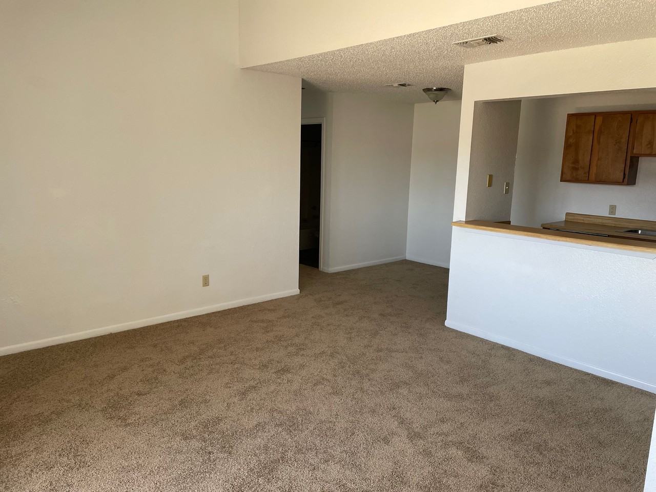 1611 S 3rd St #1100 - Photo 7 of 10