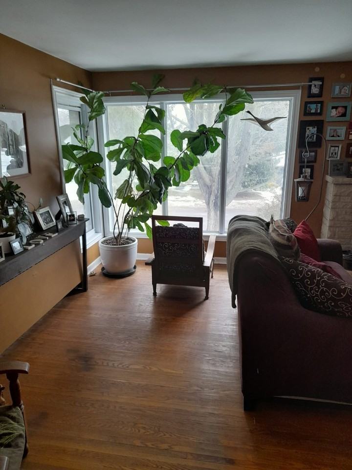 159 McMichael Street - Photo 6 of 17