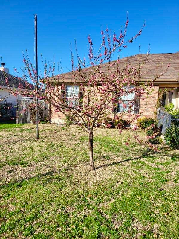 308 Lydia Ln - Photo 2 of 18