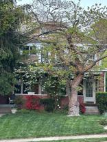 115 E Laurel Ave #2 - Photo 1 of 1