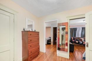 51 Lithgow St - Photo 1 of 1