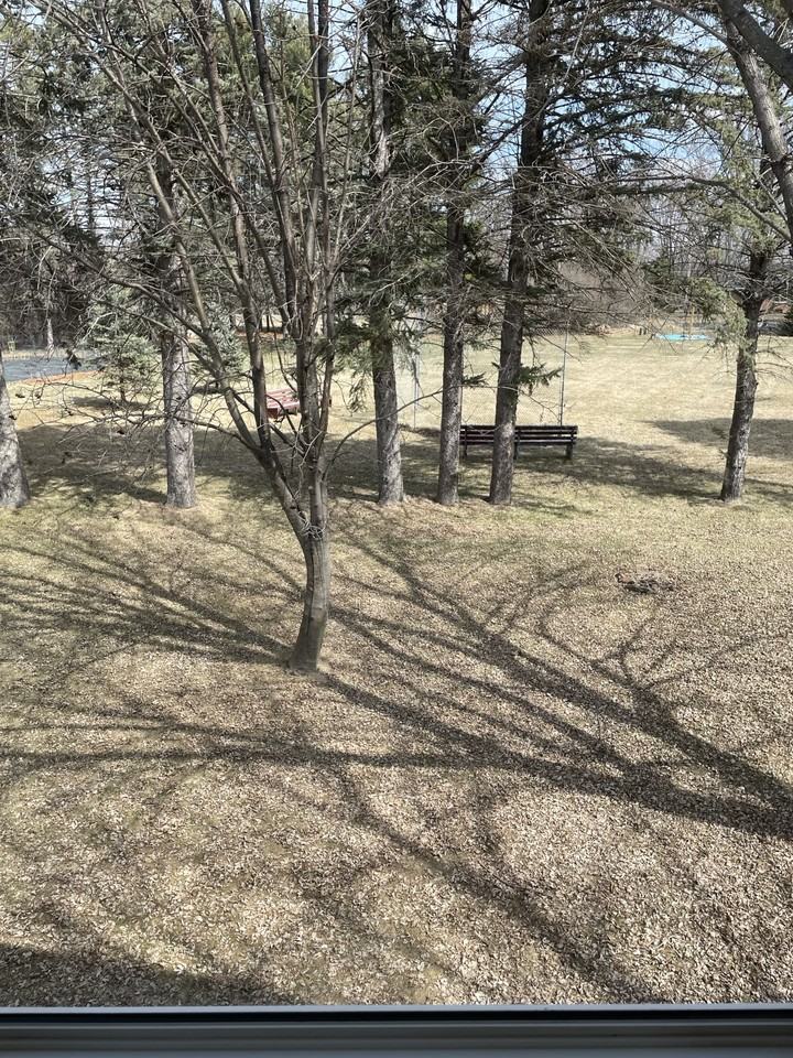 1038 Anna Ave S #NA - Photo 4 of 12