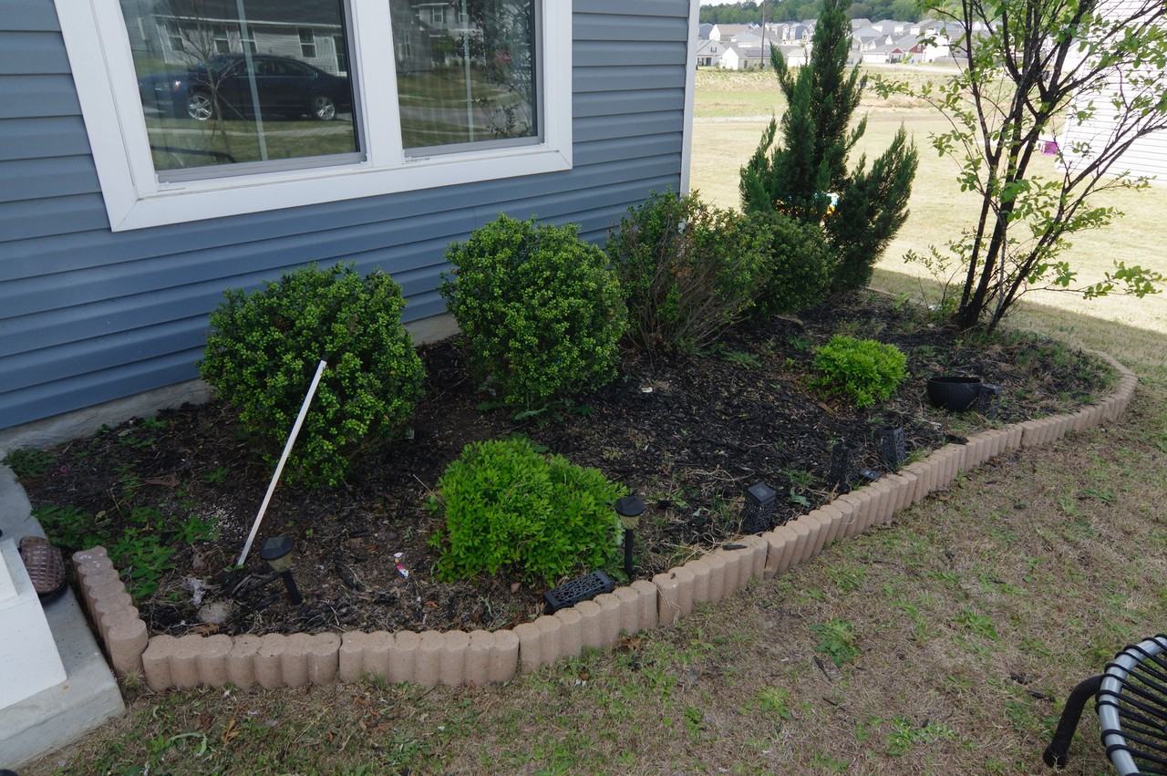 385 Saskatoon Dr #385 - Photo 3 of 19
