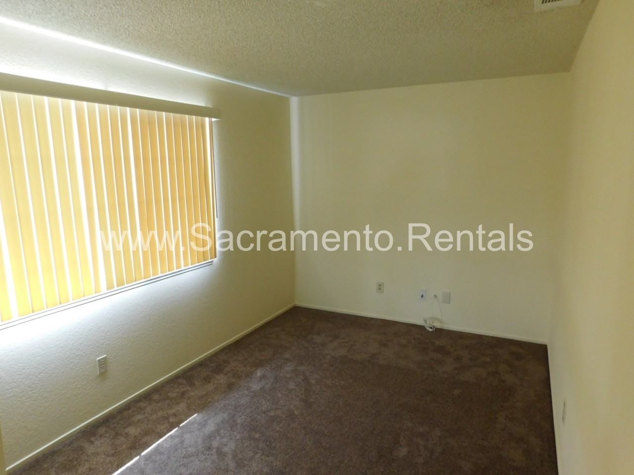 7313 Bruno Way - Photo 6 of 17