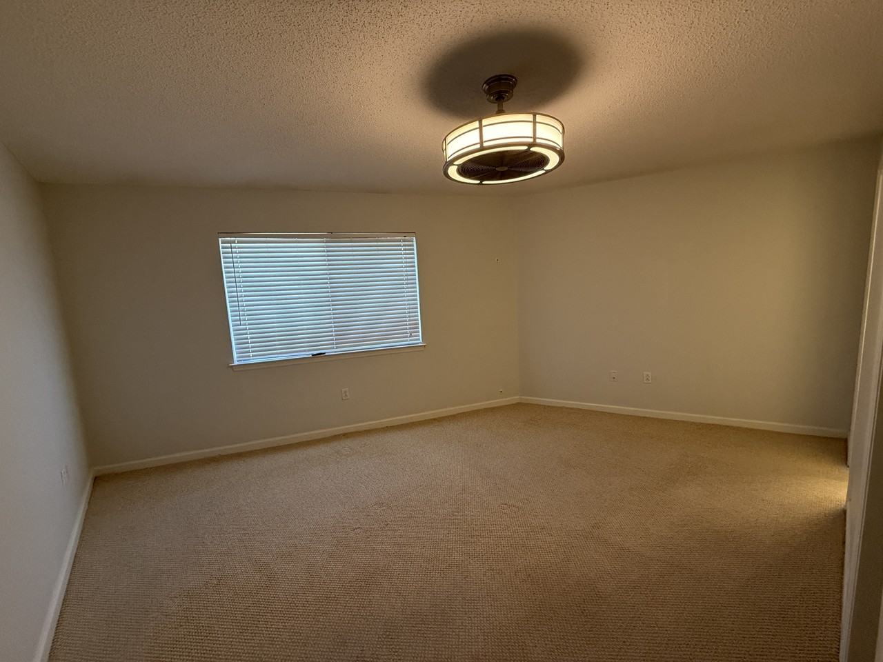 285 Payne St #1 - Photo 5 of 22