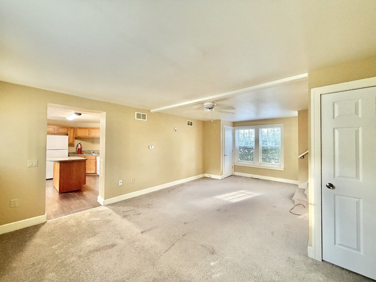 206 Carpenter St #3 - Photo 4 of 13