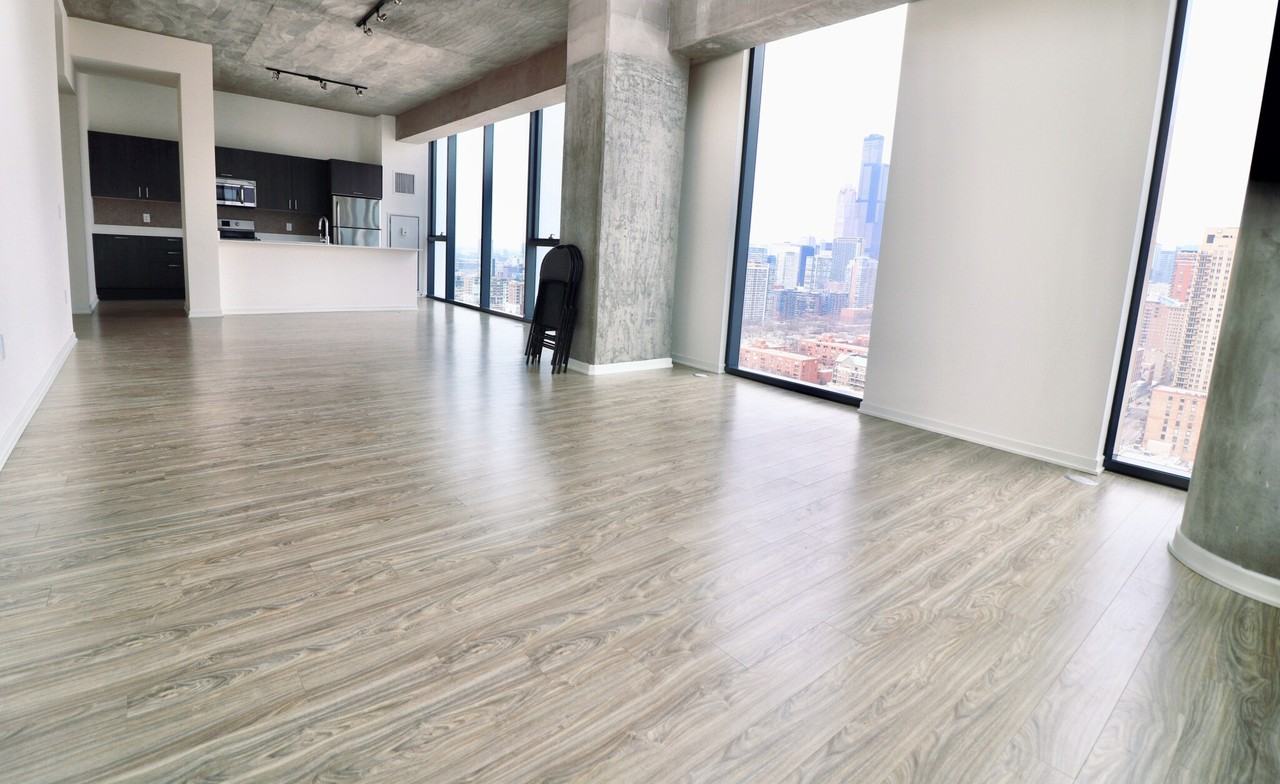 1333 S Wabash Ave #3-3-5 - Photo 4 of 21
