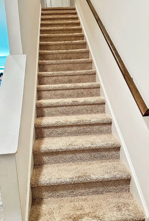 204 Belmar Rd #1 - Photo 6 of 16