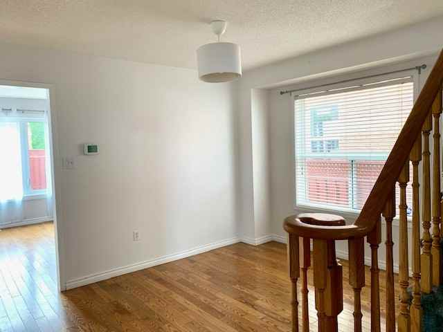 120 Widgeon St - Photo 5 of 28