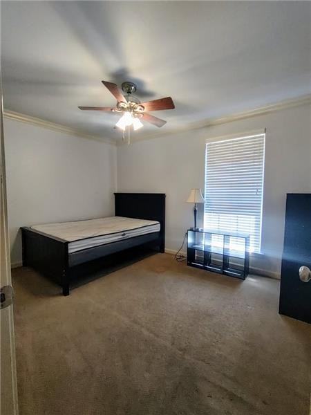 4618 Alvin Dark Ave - Photo 5 of 10