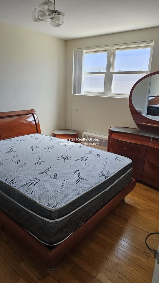 6107 N Seeley Ave #2E - Photo 6 of 15