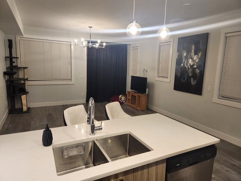 250 Nickel Rd #5 - Photo 6 of 13