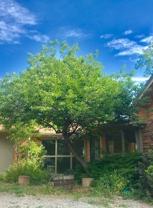 1515-1525 Kalmia - Photo 1 of 1