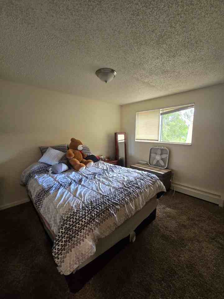 317 Emery Dr #A - Photo 5 of 6