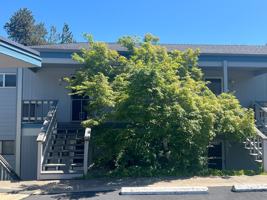 featured image of 854 Twin Pines Cir #12