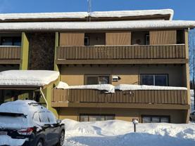 228 Woodridge St #4 - Photo 1 of 1